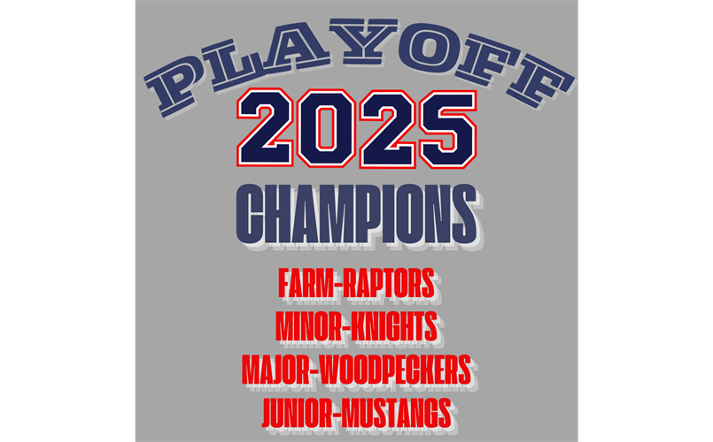 Divisional Champions