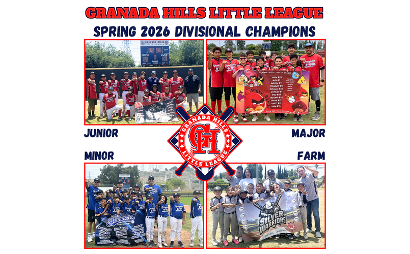 Playoff Champions